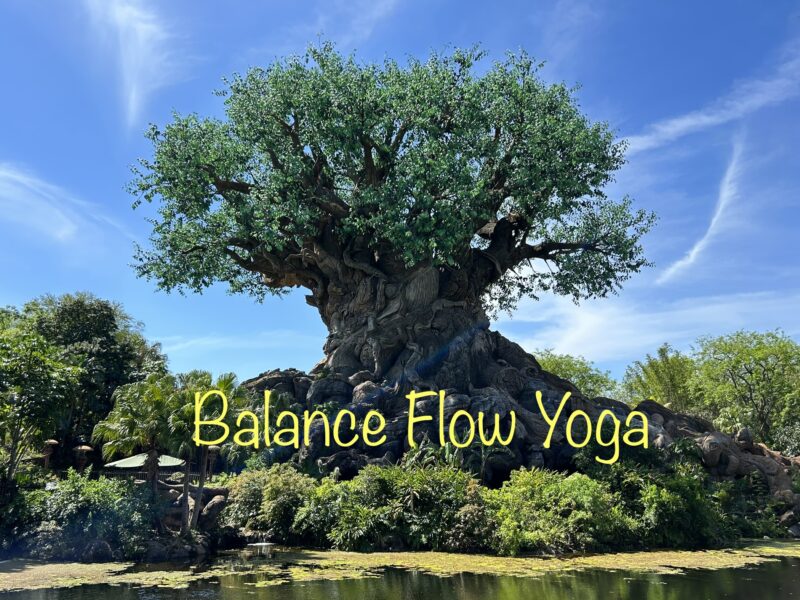 Balance Flow Yoga