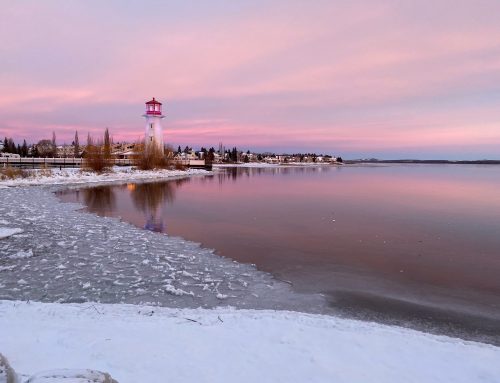 From Self-Pity to Genuine Gratitude: My 2-Step Practice for Overwhelm